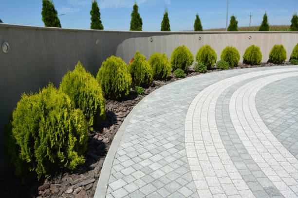 Best Affordable Driveway Pavers  in Montgomery, PA
